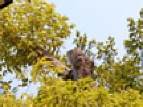 阳光灿烂,生活美好